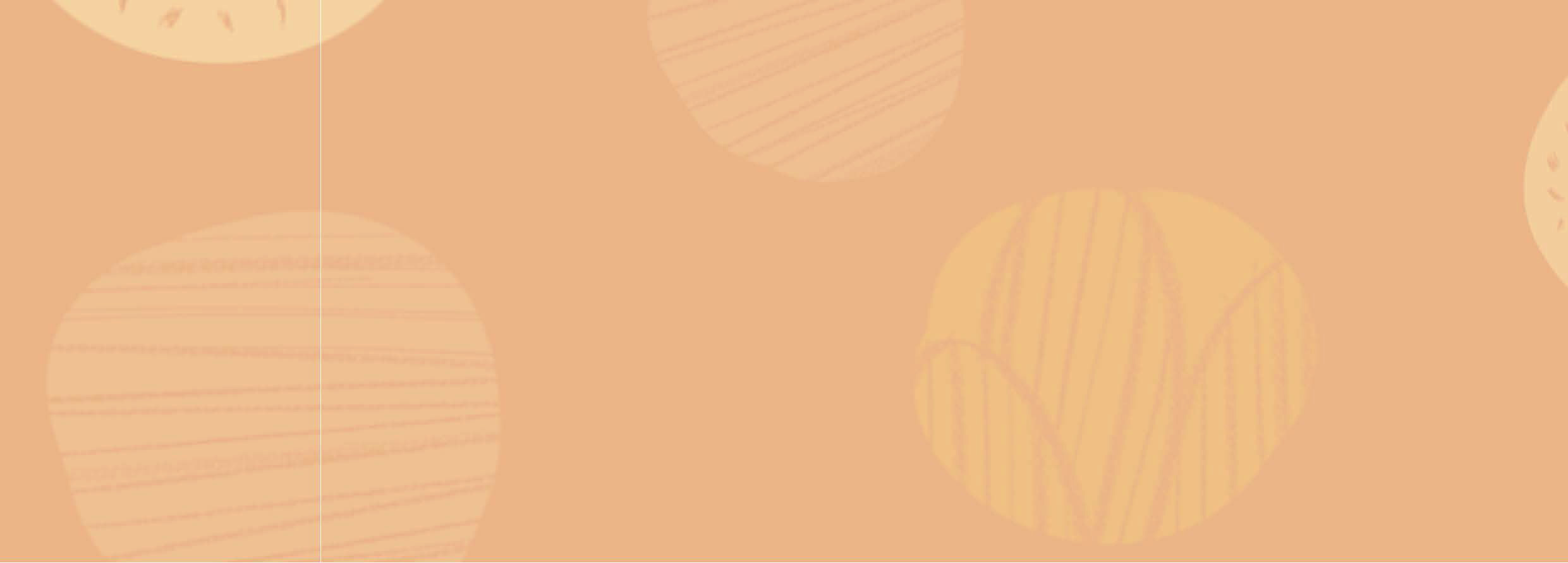 Gestión y seguimiento